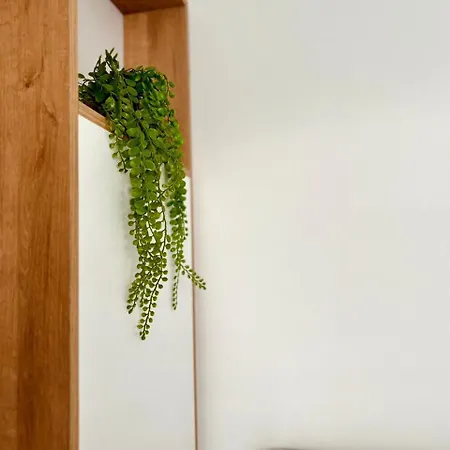 Foleza Apartament-shengjin * Margjonaj