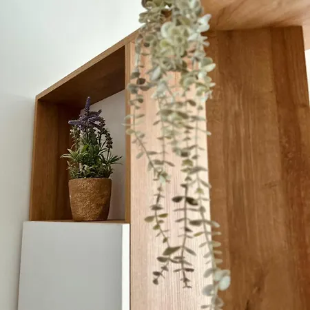 Апартаменты Foleza Apartament-shengjin
