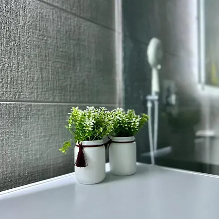 Foleza Apartament-shengjin *